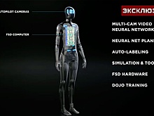 Социальные и боевые: робототехник оценил перспективы андроидов в жизни человечества