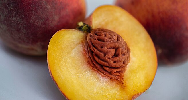 Робонос смог «вынюхать» спелость персиков