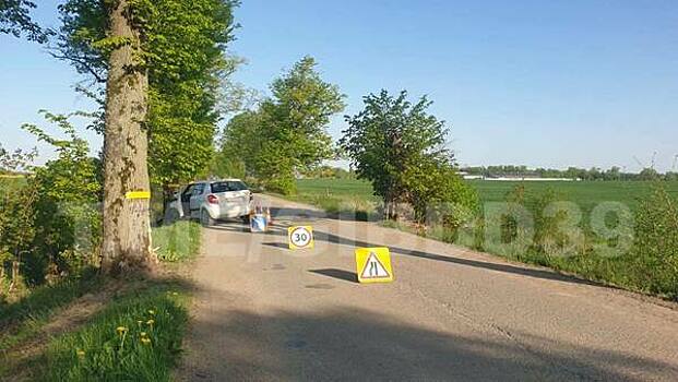 Под Гурьевском машина врезалась в придорожное дерево, пострадали два человека