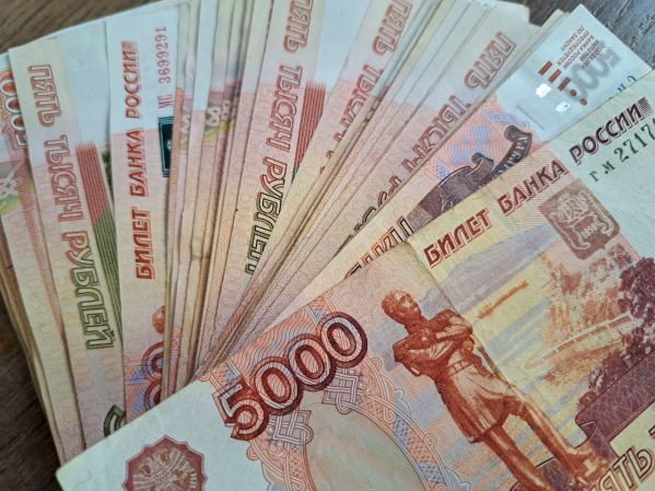 МВД за 2023 год возместило гражданам 50 млрд руб. ущерба от коррупционных преступлений