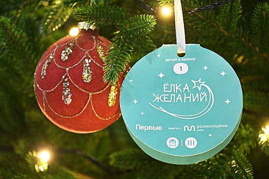 В Национальном центре "Россия" дали старт всероссийской акции "Елка желаний"