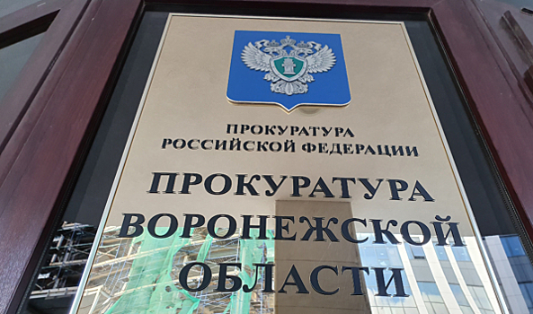 935 млн рублей — такова сумма ущерба от экономических преступлений в Воронежской области
