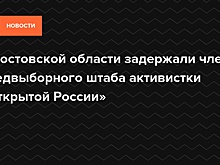 В Ростовской области задержали члена предвыборного штаба активистки «Открытой России»