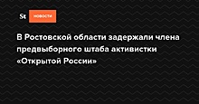 В Ростовской области задержали члена предвыборного штаба активистки «Открытой России»