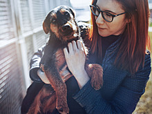 Путь из приюта домой: чек-лист для тех, кто решился взять питомца