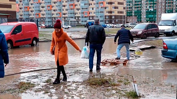 На Петербург обрушился «Дэннис»: последствия разгула стихии