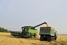 В России площади под зерновыми увеличат на 240 тысяч гектаров