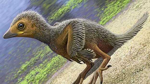 Палеонтологи нашли останки птенца одной из первых птиц