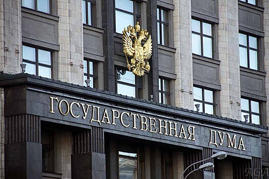 Госдума сократила срок выдачи загранпаспорта по месту пребывания