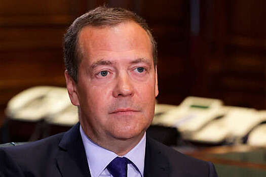 Медведев выразил недоумение из-за жалоб ФРГ на проблемы при гибридной войне с РФ
