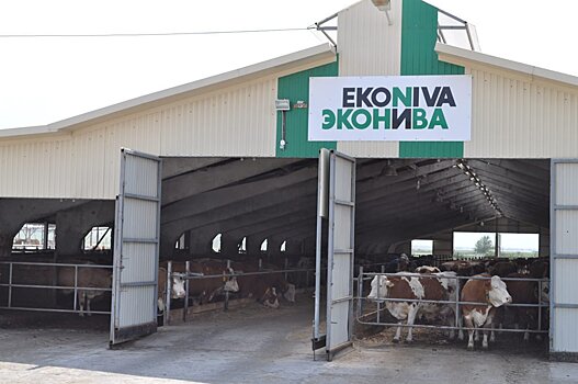«ЭкоНива» планирует построить шесть ферм в Воронежской области
