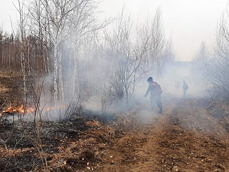 Площадь лесных пожаров в Красноярском крае превысила 1 тыс. га