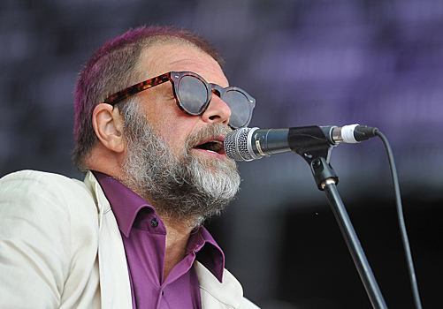 Самолет с Гребенщиковым экстренно вернулся в Минск