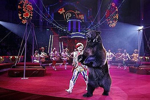 На манеже Хабаровского цирка впервые представят новое шоу Гии Эрадзе и «Росгосцирка» «БУРЛЕСК»