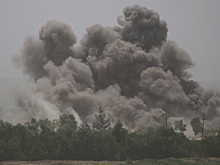 Китай готов признать талибов* законными правителями Афганистана