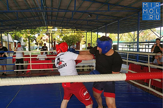 Спортивно-терапевтические сборы по боксу прошли в Дагестане