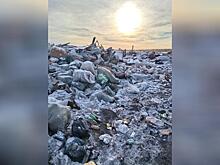 Три несанкционированные свалки обнаружили в Шилке