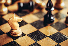 Турнир по шахматам пройдет в Марьиной Роще в дни школьных каникул