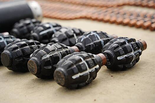 В Москве нашли пакет с гранатами