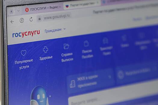 На «Госуслугах» задумали создать кнопку безопасности