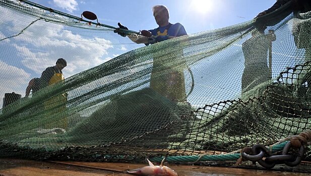 Новые правила вылова рыбы для Дальнего Востока могут вступить в силу с 1 июля