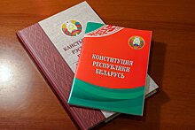 Депутаты Парламентского собрания примут участие в наблюдении за проведением референдума