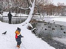 Около 4 тысяч объектов зимнего отдыха откроют в Москве
