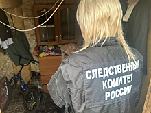 Четвертый ребенок зарубившей детей матери в Канске присутствовал при убийстве