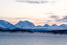 Туристам запретили запускать беспилотники в Арктике