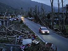 Башенный кран рухнул на автомобили в Барнауле