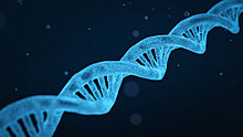 Ученые впервые «починили» ДНК эмбриона в утробе матери