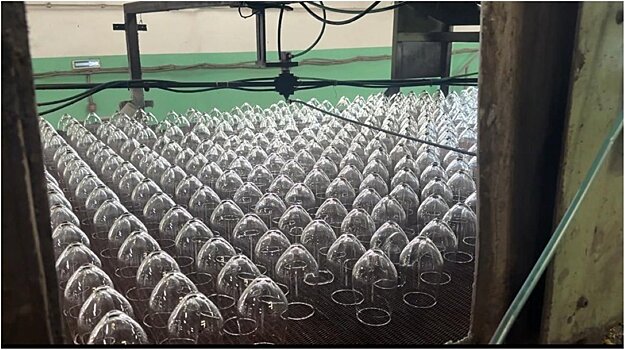 Дизайнерский конкурс на уникальный бокал стартовал на Опытном стекольном заводе