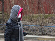 Памятку о масочном режиме сделали для жителей Подмосковья