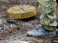 WP: Украина заминировала границу с Белоруссией