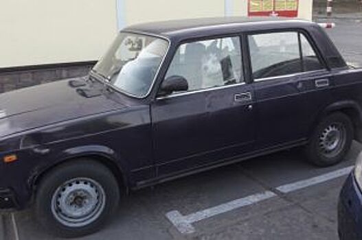 Житель Димитровграда угнал у любовницы машину и украл собаку