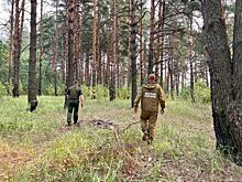 Особый режим будут вводить в Костромской области из-за жары