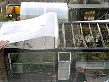 Поваленные деревья, сорванные крыши и осыпающиеся балконы: в Кировской области устраняют последствия ветра