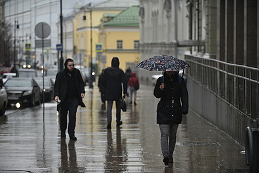 Облачная погода и до 8 градусов тепла ожидается в московском регионе в среду