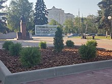 В сквере Ермина на месте фонтана появилась клумба