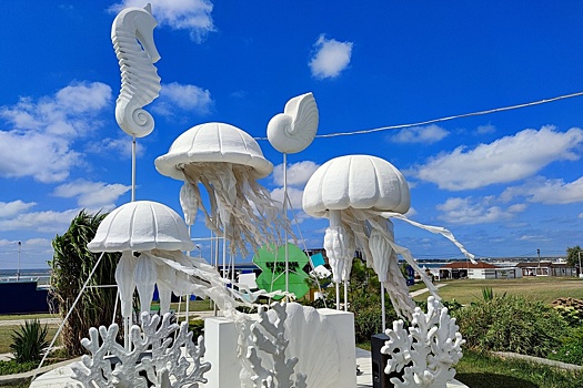 В Азовском море могут начать промышленный лов медуз