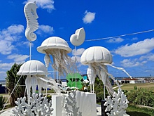 В Азовском море могут начать промышленный лов медуз