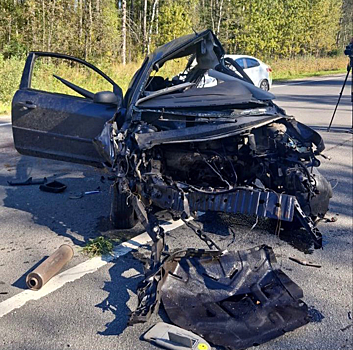 Два человека погибли в ДТП в Ярославской области