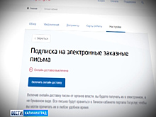 В Калининградской области реализуется проект отправки заказных писем от госорганов в электронном виде