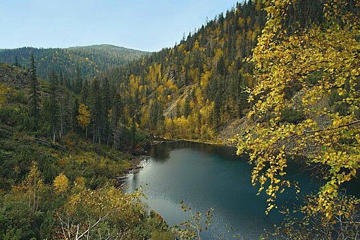 В Хабаровском крае возбудили дело по факту рубки леса у озера Амут