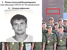 Командир Чепиги заговорил