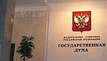 Парламент Петербурга поддержал инициативу об увеличении штрафов за незаконные свалки
