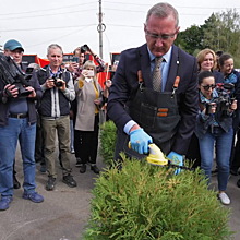 Владислав Шапша научился стричь туи и квасить капусту