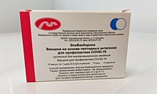 В Удмуртию поступила первая партия вакцины новосибирского центра «Вектор»