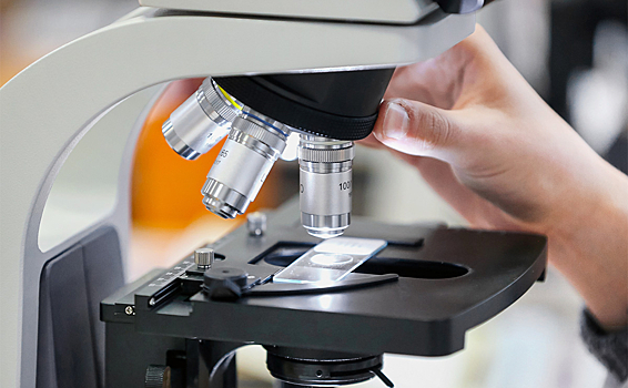 В Австралии открыли новое свойство супербактерий