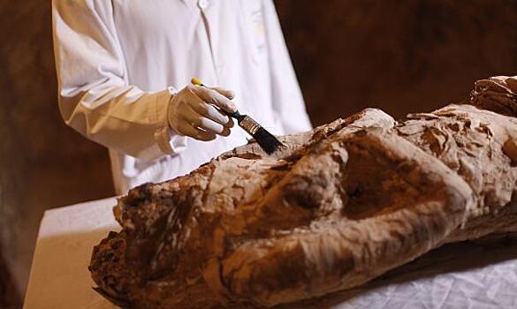 В отрубленных головах мумий Наска нашли психоактивные вещества